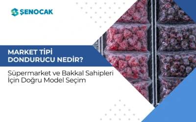 Market Tipi Dondurucu Nedir? Süpermarket ve Bakkal Sahipleri İçin Doğru Model Seçimi