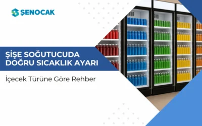 Şişe Soğutucuda Doğru Sıcaklık Ayarı: İçecek Türüne Göre Rehber
